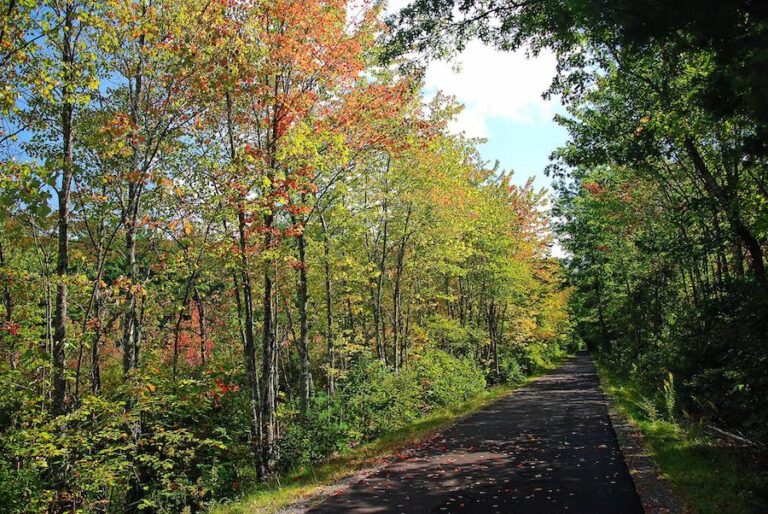 Top 10 Trails In New Hampshire Rails To Trails Conservancy Rails To   New Hampshires Londonderry Rail Trail Photo By TrailLink User Sc302  768x514 