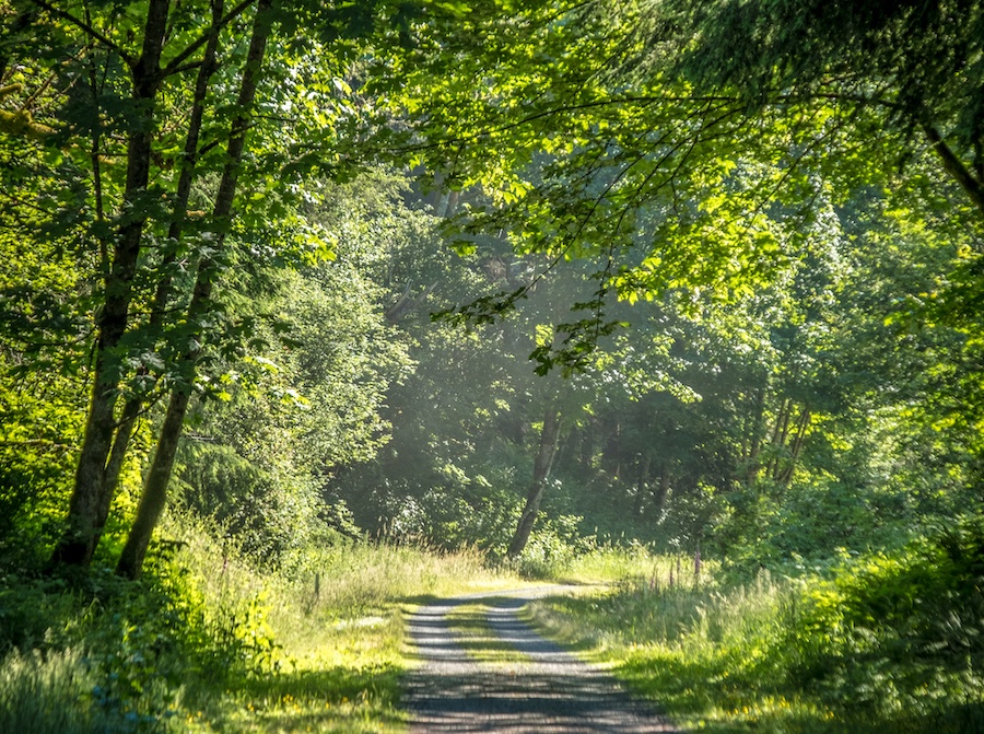 Snoqualmie Valley Trail | Photo by Eli Brownell, courtesy King County Parks 4