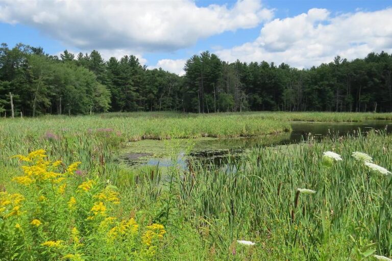 Top 10 Trails In New Hampshire Rails To Trails Conservancy Rails To   View From New Hampshires Derry Rail Trail Photo By TrailLink User Letswalk4949  768x512 