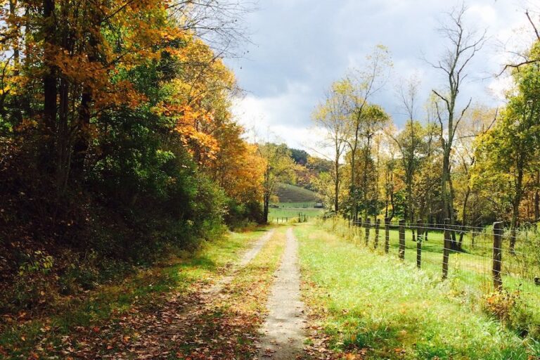 Top 10 Trails In West Virginia Rails To Trails Conservancy Rails To Trails Conservancy