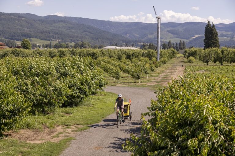 Bike Trailer Tips For A Family-Friendly Adventure - Rails To Trails ...