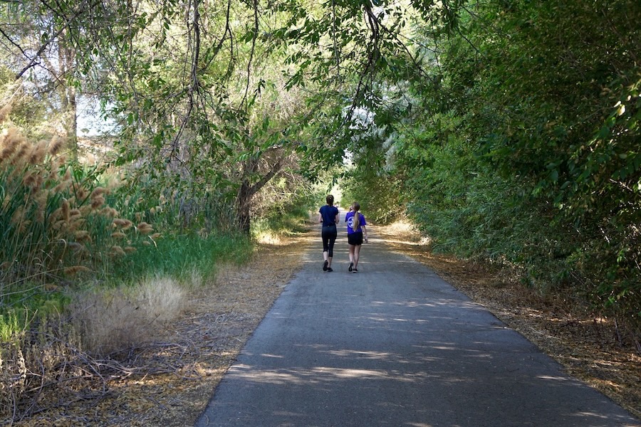 The long shady stretch of the Denver and Rio Grande Western trail in Clinton, Utah, makes for a popular walking spot on summer days. The 23.5-mile rail-trail connects up with the Legacy Parkway Trail. | Photo by Cindy Barks