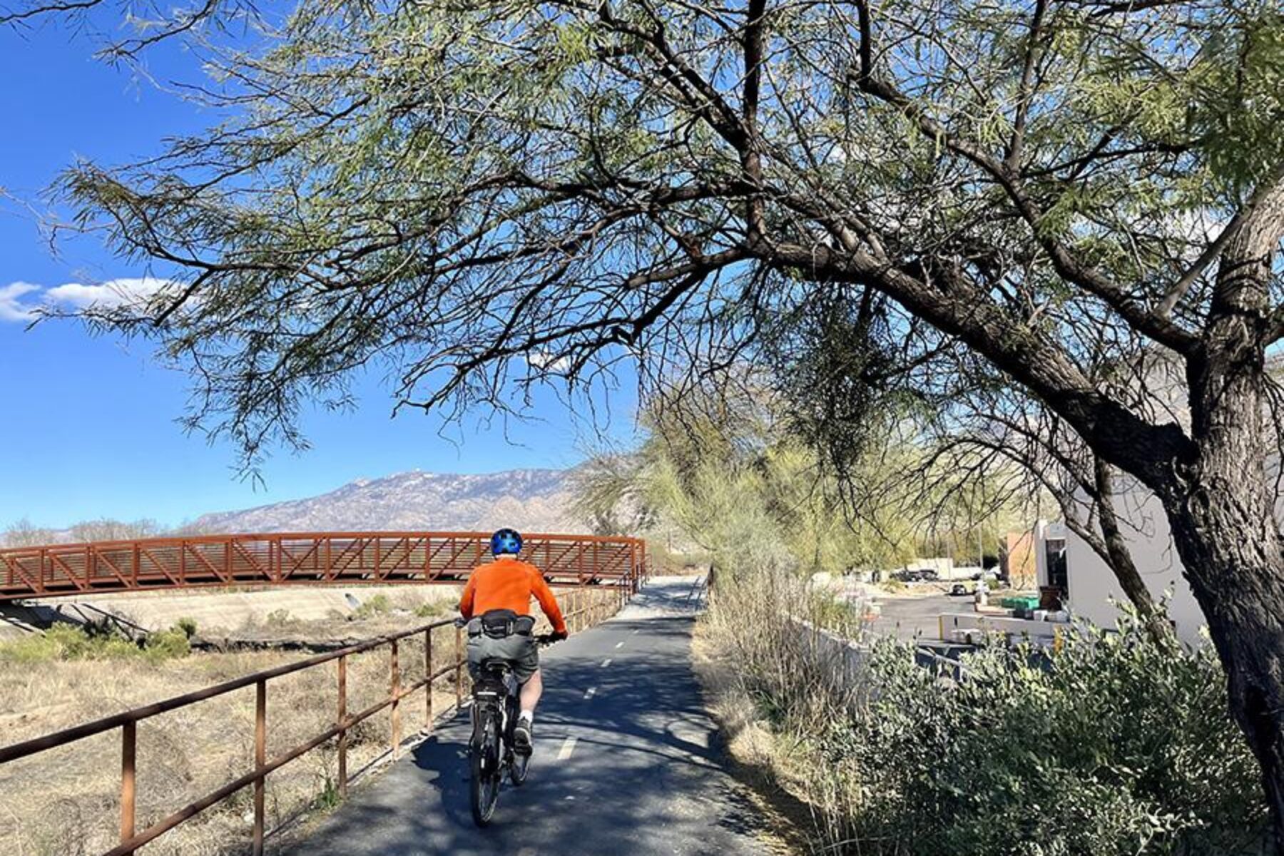 Views of the surrounding Santa Catalina Mountains serve as a backdrop along much of the Cañada del Oro River Park Trail in Oro Valley. The 11-mile route makes up one section of the Chuck Huckelberry Loop in Tucson. | Photo by Cindy Barks