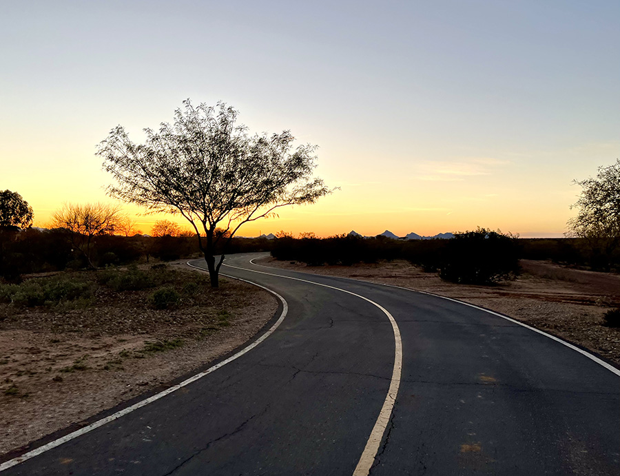 The setting sun over the Julian Wash Greenway highlights the desert terrain in early March. | Photo by Cindy Barks