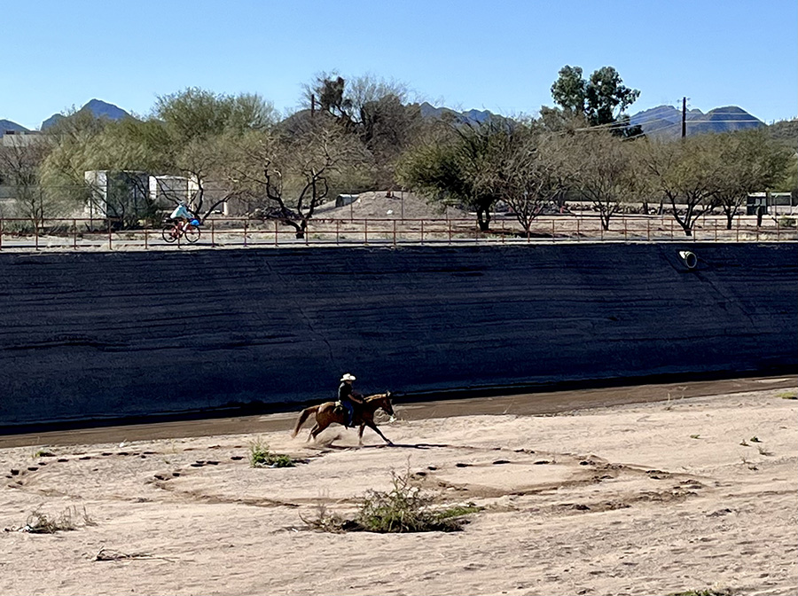 A horse and rider gallop through the wash along the Santa Cruz River Park Trail while a cyclist rides on the trail above. The trail, which originated as a flood control measure after devastating floods in the 1980s, runs on both sides of the river. | Photo by Cindy Barks