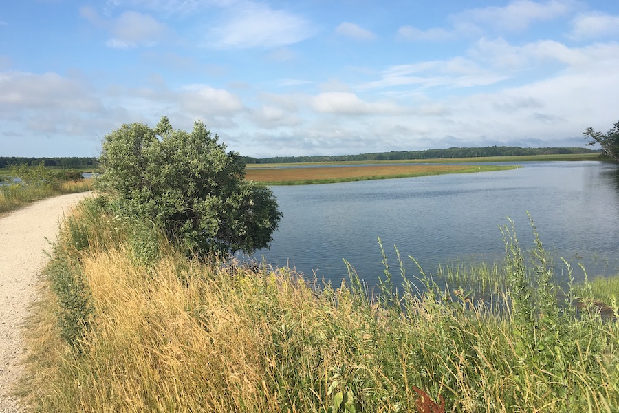 The Eastern Trail traces Maine’s southern coast from near Kennebunk to South Portland. A highlight of the nearly 30-mile route is Scarborough Marsh, a breathtaking expanse of saltwater wetlands. Photo by Katie Guerin.