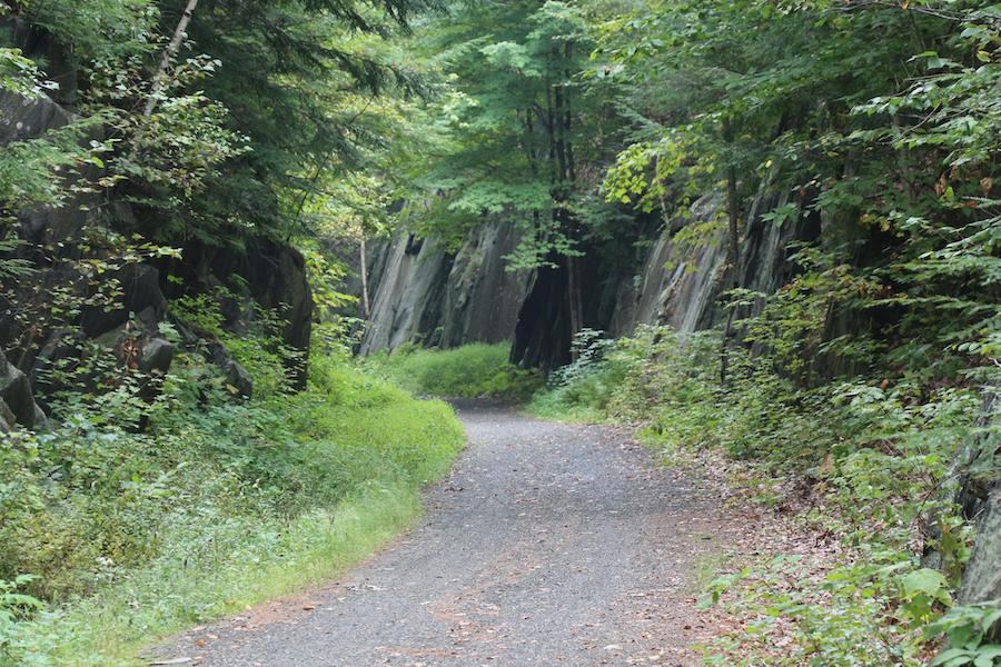 Spanning nearly 60 miles, the Northern Rail Trail is New Hampshire’s longest rail-trail conversion. Much of the trail is lushly forested and rich in wildlife, including moose, wild turkeys and eagles. Photo by TrailLink user kltron.