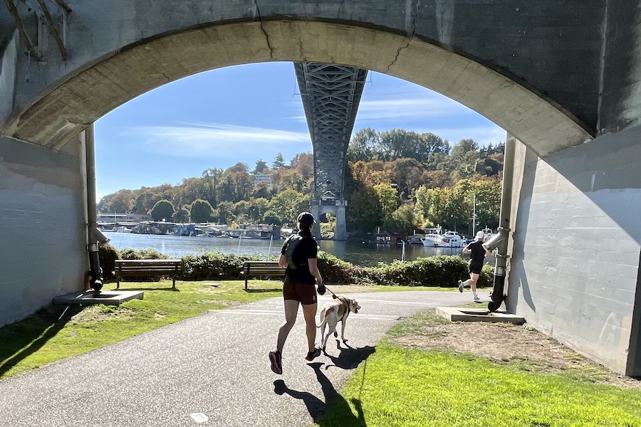 Runners and dog on Washington's Burke-Gilman Trail under the Fremont Bridge | Photo by Cindy Barks