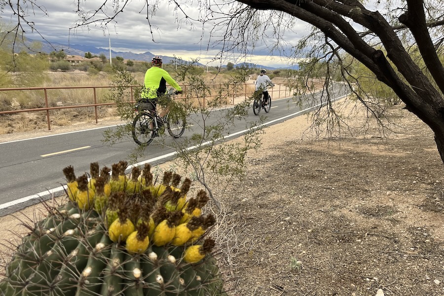 Arizona's Rillito River Park Trail | Photo by Cindy Barks