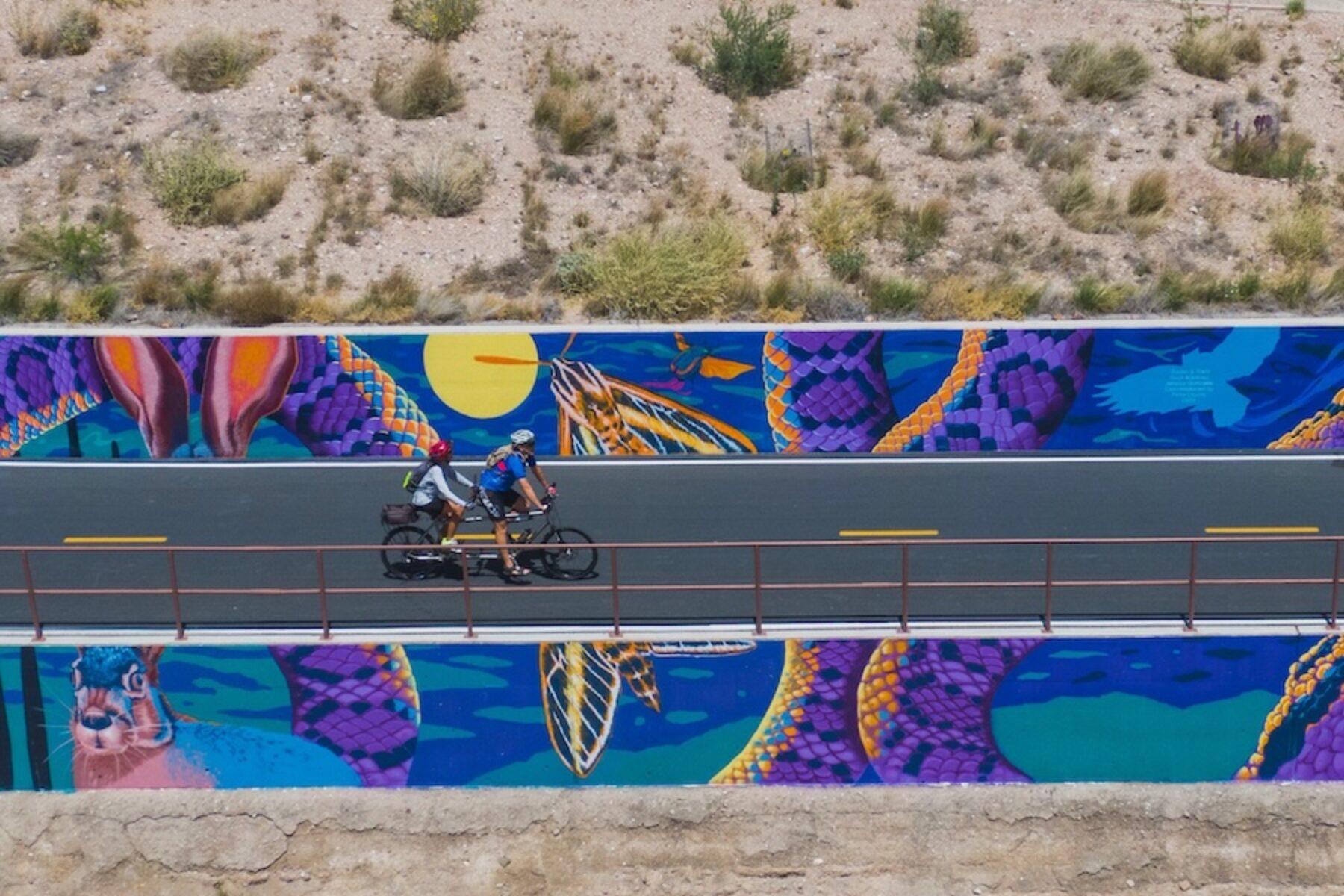 Rillito River Park Trail's Tracks and Trails mural | Photo Courtesy Pima County Public Art