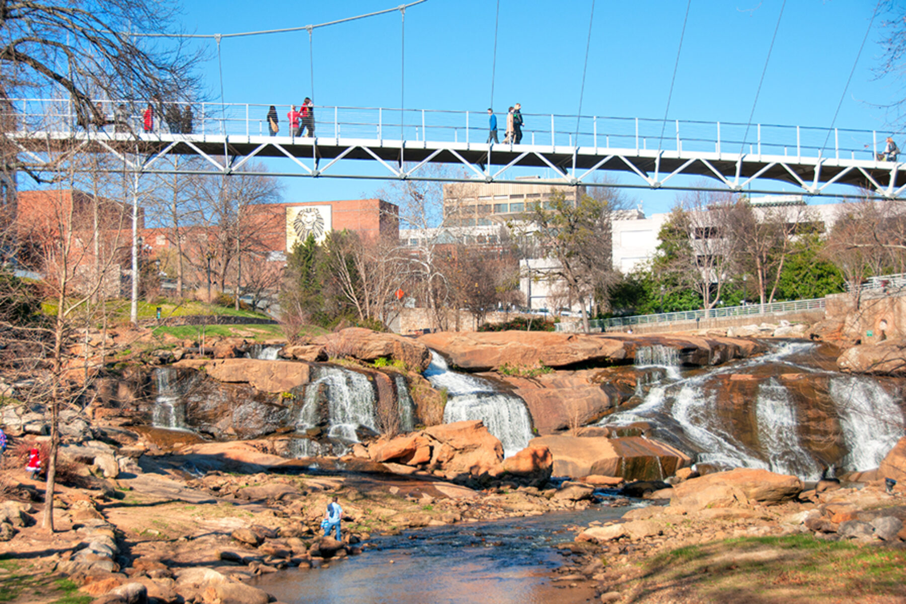 View of Liberty Bridge from the Swamp Rabbit Trail in Greenville, South Carolina | Photo by Barry Peters